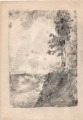 Landscape with a tree