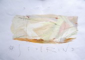 N. Severin