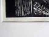T. Koha