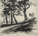 Янис Риекстиньш (1928-1982)