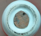 Salt shaker fly agaric