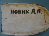 A. P. Novik