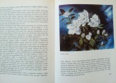 I. Ņefedova - Kārlis Sūniņš. Liesma, Rīga, 1986.
