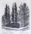 Kārlis Cīrulis (1925-1994)