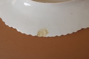 Jessen - Porcelāna šķīvis 22x31 cm ar defektu