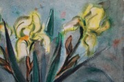 Дзидра Баума (1930)