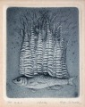 Nele Zirnite (1959)