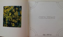 Дубовая земля, Рига Искусство 1981