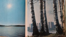 Дубовая земля, Рига Искусство 1981