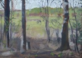 Владимир Борисович Лихачёв (1952-2005)