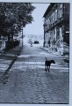 Andrejs Grants (1955)