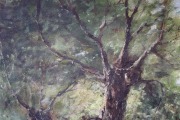 E. Rosens