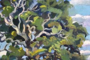 Зита Судника (1958)