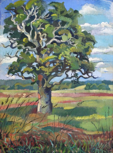 Зита Судника (1958)