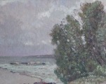 Ārijs Skride