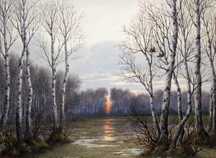 W.Felsko