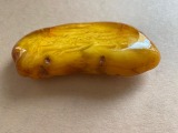 Dzintara broša, garums 8,5 cm, 38,85 gr