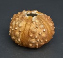 Porcelāla trauciņš, apgleznots. 6x9 cm