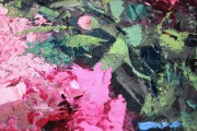 Krontals Janis (1921-1986)