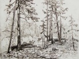 Miesnieks Karlis (1887–1977)