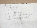 Butnor Ansis (1977)