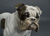 Liela Rosenthal porcelāna figūra Angļu buldogs