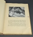 Nikolajs Rērihs, katalogs. Rīga 1939. (iztrūkst trīs attēli)