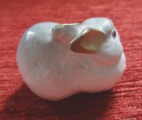 Porcelāna figūriņa Trusis