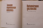Book - Western European painting