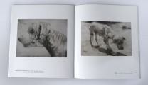 Catalogue Petrova Suņi. Jevgēnijs Petrovs