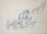 Alksnis Ādams (1864-1897)