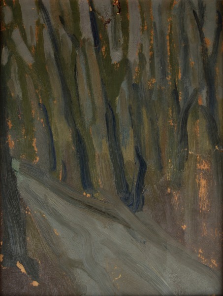 Voldemārs Zeltiņš (1879–1909)
