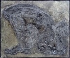 Melbārzde Elizabete (1970)