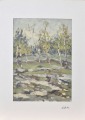 Lilija Bite (1896 - 1987)