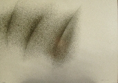 A. Varpa 