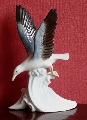 Seagull on a wave