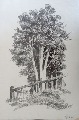 Zigurds Gustins (1919-1950) 
