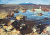 Альберт Паулиньш (1948) 