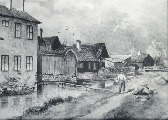 Froka Skog