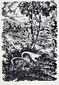 Янис Плепис (1909-1947) 
