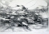 Валда Микане (1953)