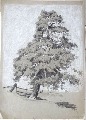 Зигурдс Густиньш (1919-1950)