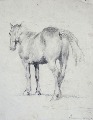 Зигурдс Густиньш (1919-1950) 