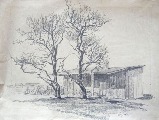 Зигурдс Густиньш (1919-1950)
