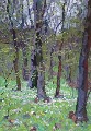 Амир Валиахметов (1927) 
