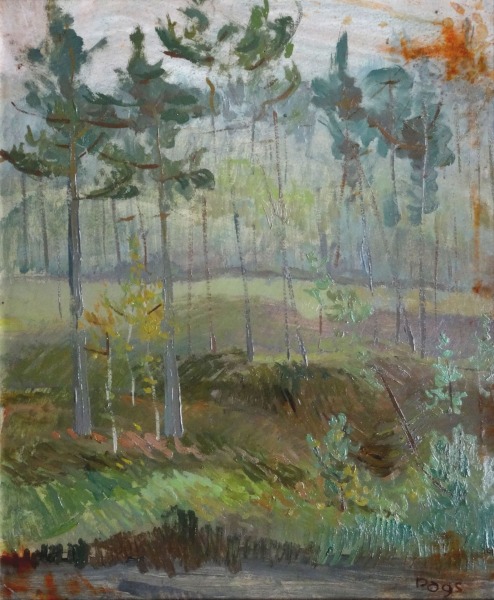 Dags Vidulejs (1961)