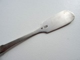Silver spoon