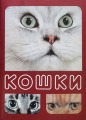 Postcards - "Cats"