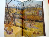 L`ermitage peintures XIX & XX Siēcles. Flammarion 1987
