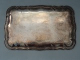 Поднос New zilber 16x24,5 см